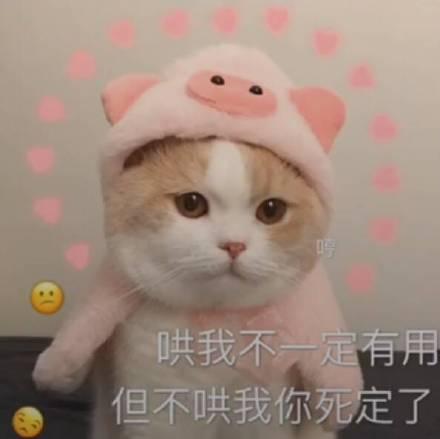 情侣互撩表情包老婆开门啊,下次保证准时回家,过来让老子抱抱