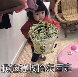 滚滚滚表情包图片收拾