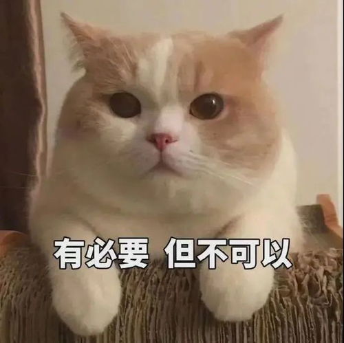 第126期聊天斗图必备表情包
