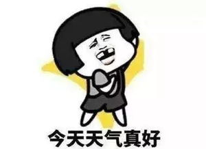 晴天将持续眷顾,阳光不离不弃