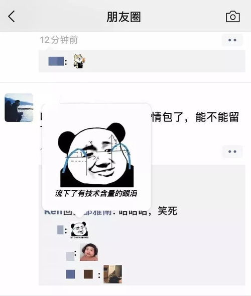 朋友圈可以评论表情包了你使用了吗