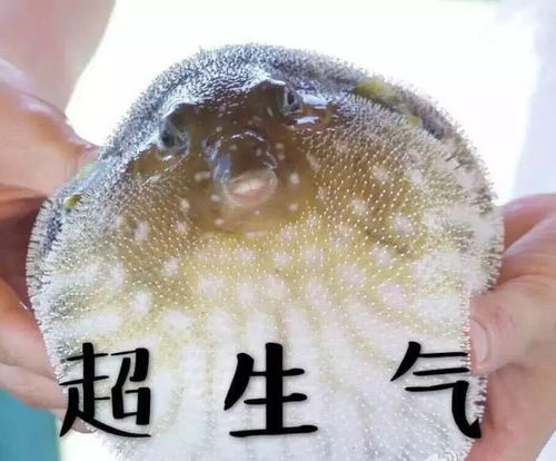 交大校园卡微信线上版来啦附最全使用攻略