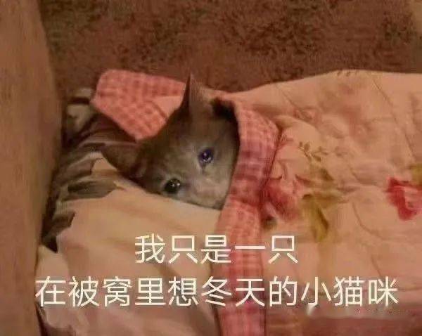 志愿者招募冬天太冷,让我们一起用爱温暖这里吧