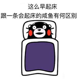 看你妹霸王级寒潮来袭谁才是地表实力扛冻