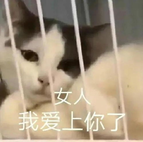 撩妹表情包