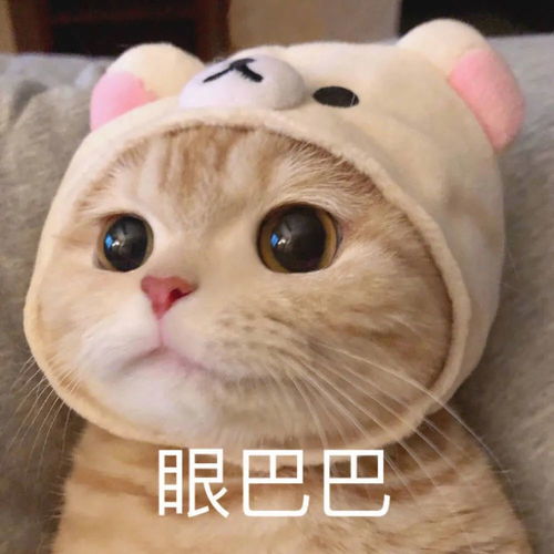 表情包奥特曼鬼畜表情包