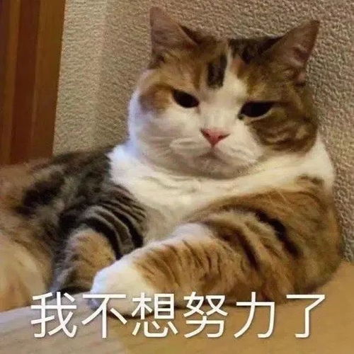 打工人表情