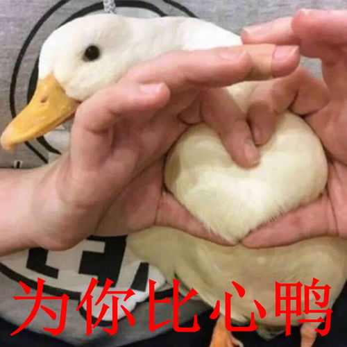 萌宠动物界搞笑图集每周一更新