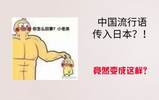 小米仓猪与小白的个人空间哔哩哔哩乾杯bilibili