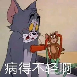 猫和老鼠表情包合集怎么肥事小老弟