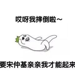 新晋大红人宋仲基网坛也有