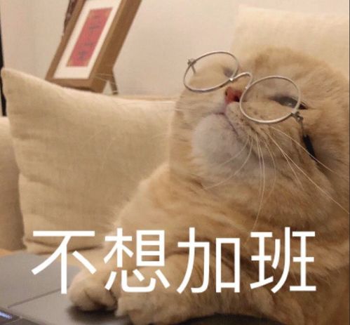 不想配图表情包加班