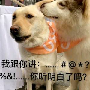 求是什么意思