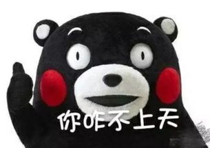 e句话看天下今天的主题是,不要在精神病院里找男朋友
