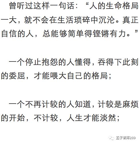 纵有疾风起,人生不言弃