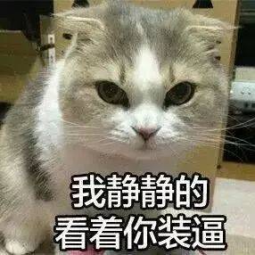 为什么很多人聊天都喜欢用猫咪表情包附最全猫咪表情包