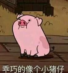 易吐为快第147期什么阿里巴巴这么厉害全是因为房改