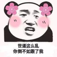 熊猫头表情包i别艾特我了我已经有老婆了