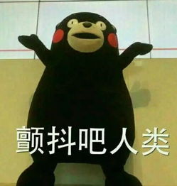 能击败全球76万人的,竟然是一名15岁的高中boy