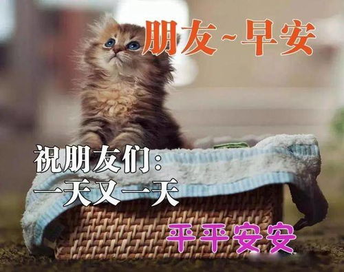 早上好问候语图片早上表情包全集
