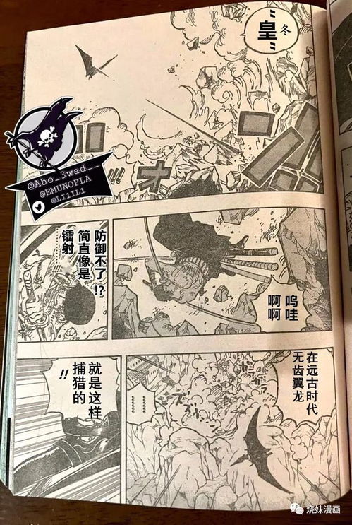 海贼王1032话汉化版尝鲜