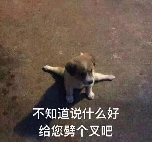 雨雨雨雨雨...雨呢搁哪了下丢了啊说好的暴雨还会来吗