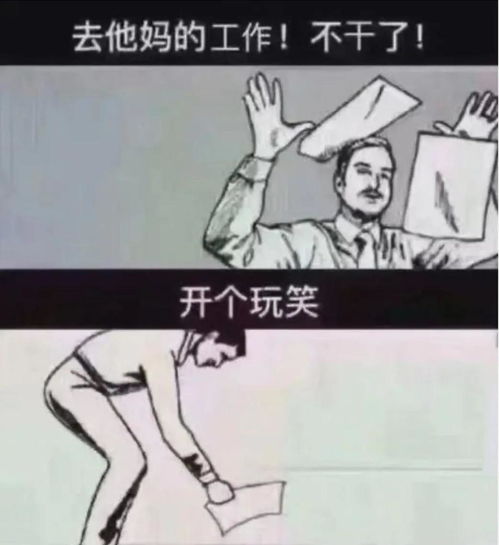 喝茶的打工人,上班从不摸鱼,摸的是
