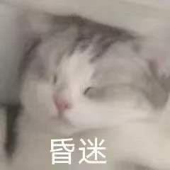 神回复女朋友开始怀疑我肾虚了,我该怎么证明我不是肾虚