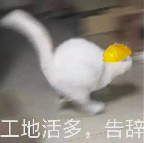 猫能跟狗配种吗
