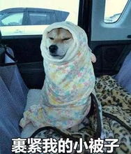 火上热搜今天在立夏的苏州冻成狗,哭了