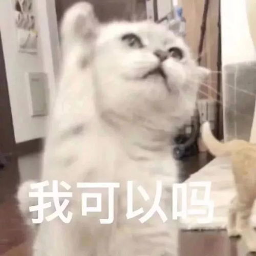 今日份表情包