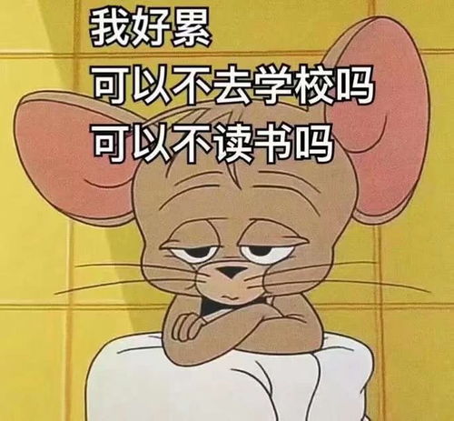 每日一笑高考是把无情的整容刀,带走了我们美丽的容貌