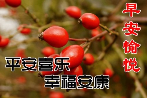 10月20日周二清晨早上好问候祝福动态表情图片10月最新早安问候祝福图片带字温馨