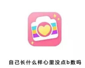 动态表情包添加文字app窗口