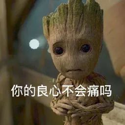 养不了猫就不能撸猫不可能
