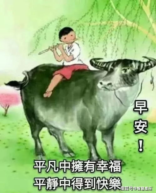 6月25日早安漂亮温馨图片问候祝福语录早上好暖心问候短信