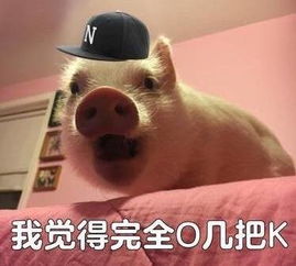 隔代教育误孩子中美老人教育方式有差异,美国老人是这样带娃的...