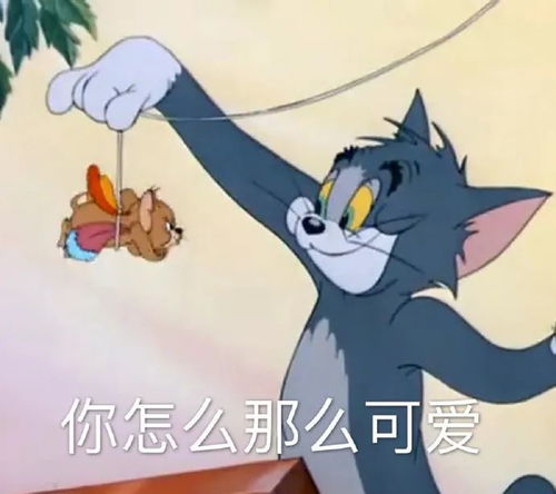 表情包比个心都是爱你的形状