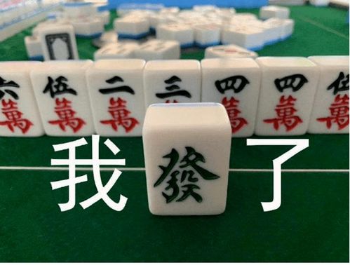 麻将天天搓我,你懂我么