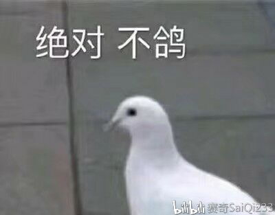 鸽德表情包杨小姐