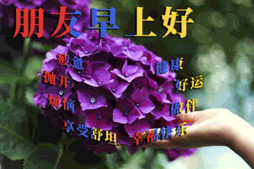2月12日群发清晨早安问候表情图片,漂亮早上好问候语图片带字
