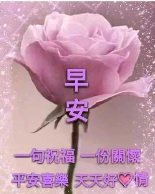 漂亮好看的早上好问候语,早晨暖心的问候表情图片,祝你每天都有好心情