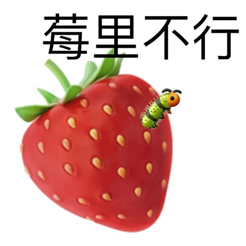 起床了表情包 宝贝宝宝