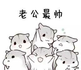 小仓鼠表情包萌萌哒的图片可爱表情情侣