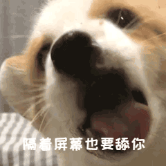 斗图表情包gif图合集给你一个爱心飞吻