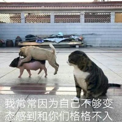 表情包比个心都是爱你的形状