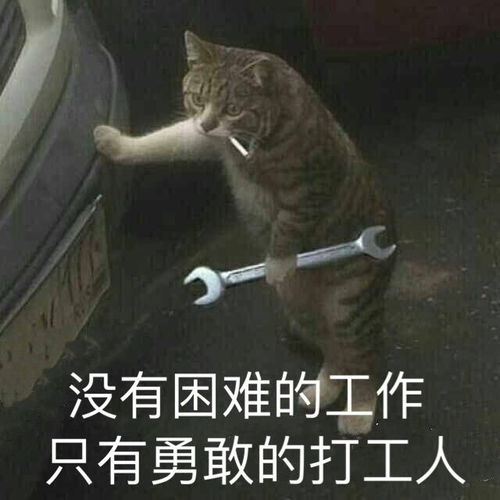 打工人刷爆网络是自我鼓励,还是社畜自嘲