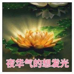 三生白浅和夜华本该第一世就在一起,全怪他