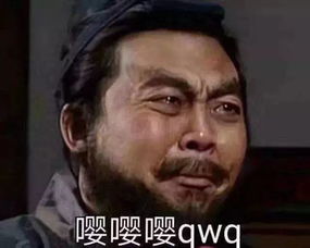 cf表情包图片张飞
