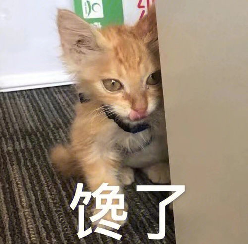 微信聊天必备表情包及土味情话